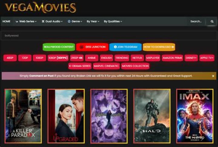 Vegamovies Contact Us: Your Ultimate Guide to Reaching Out for Support